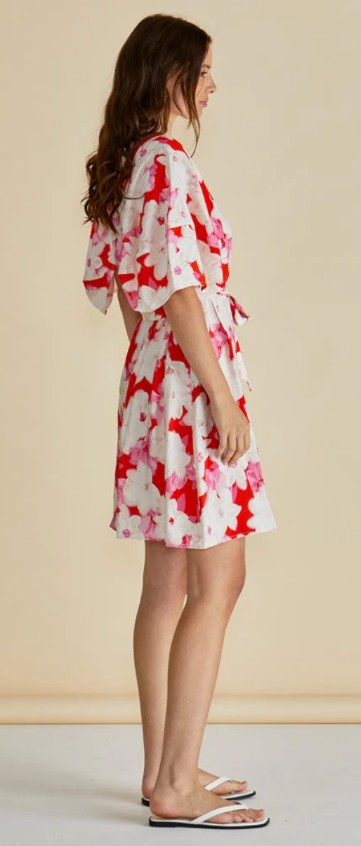 Gwenda Dress ~ Red Floral