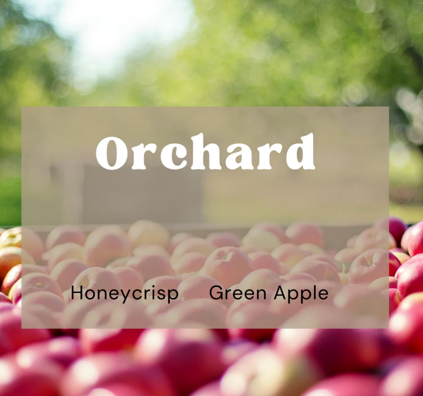 Orchard Bubble & Cleanse