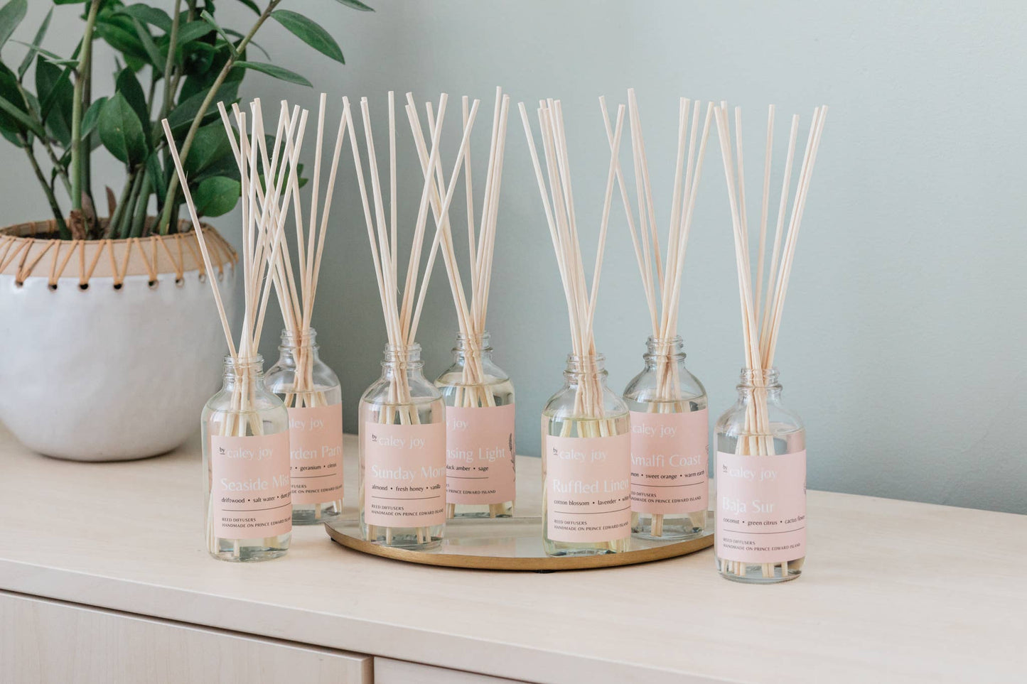 Cleansing Light | Reed Diffuser