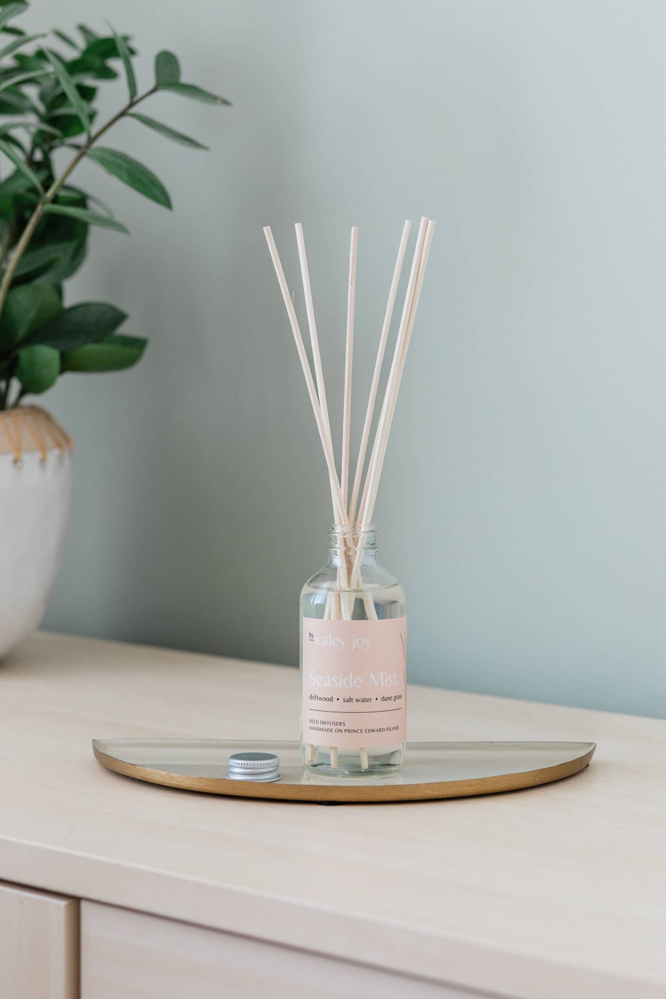Seaside Mist | Reed Diffuser