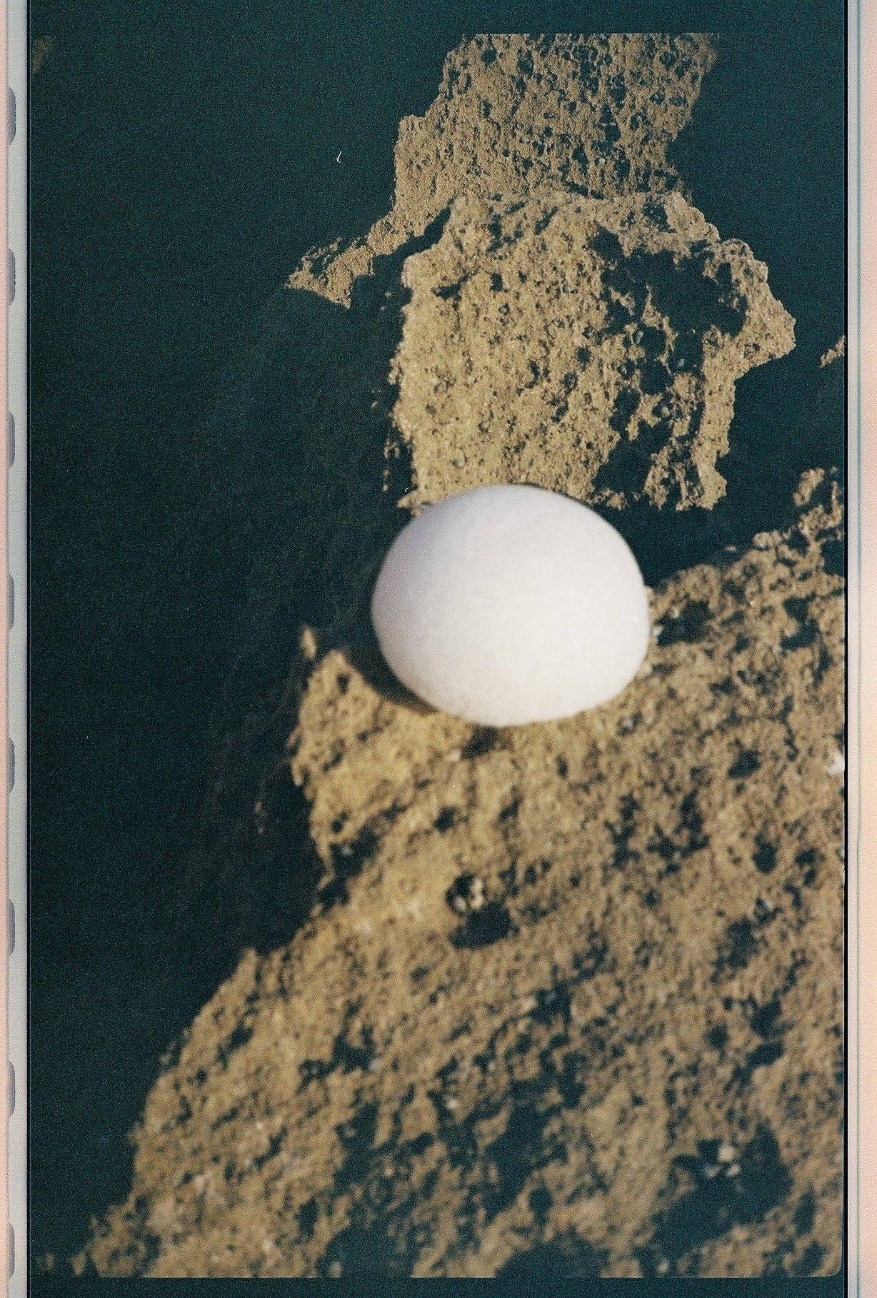 Clear Konjac Sponge