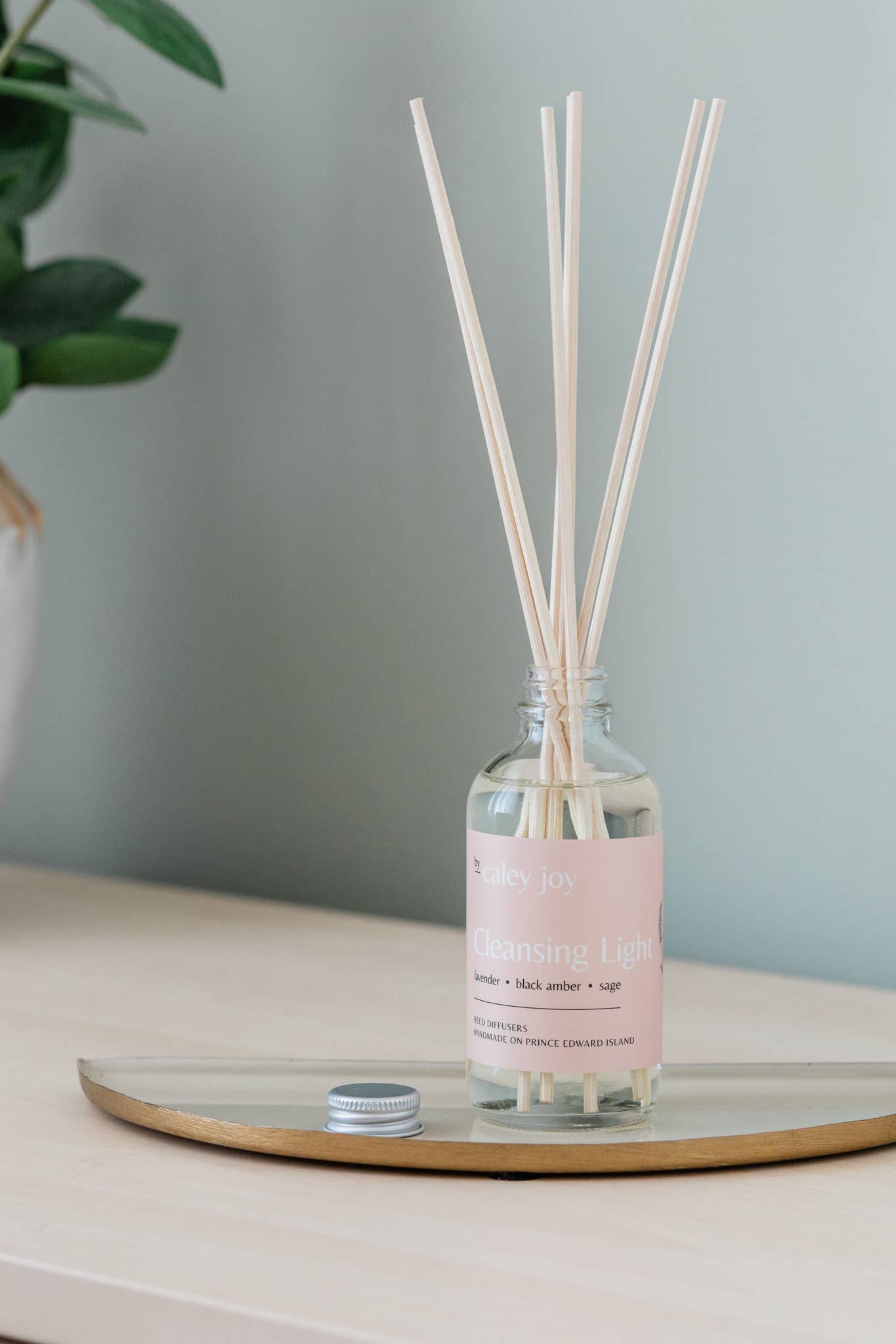 Cleansing Light | Reed Diffuser