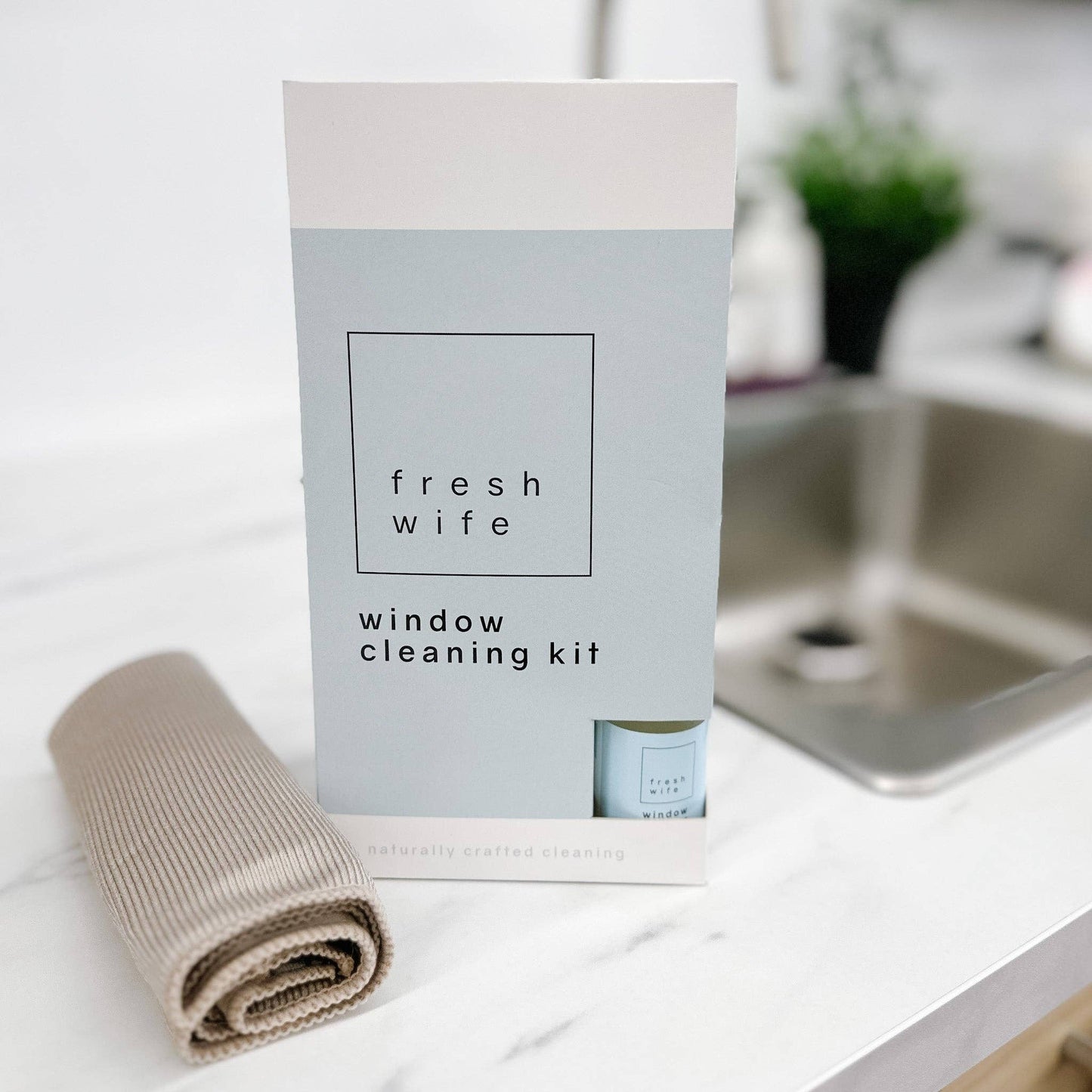 Window Cleaner Kit