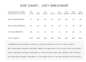 Joey Sweatshirt ~ Grey Terry