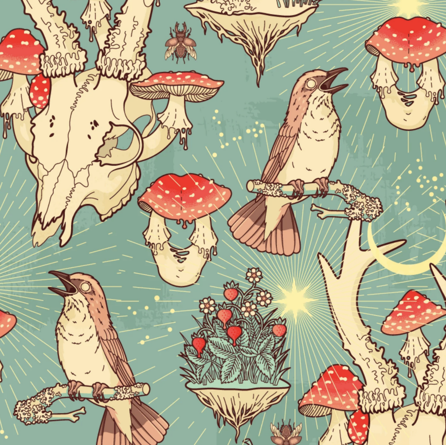 Devon + Lang Forest Mushrooms Collection