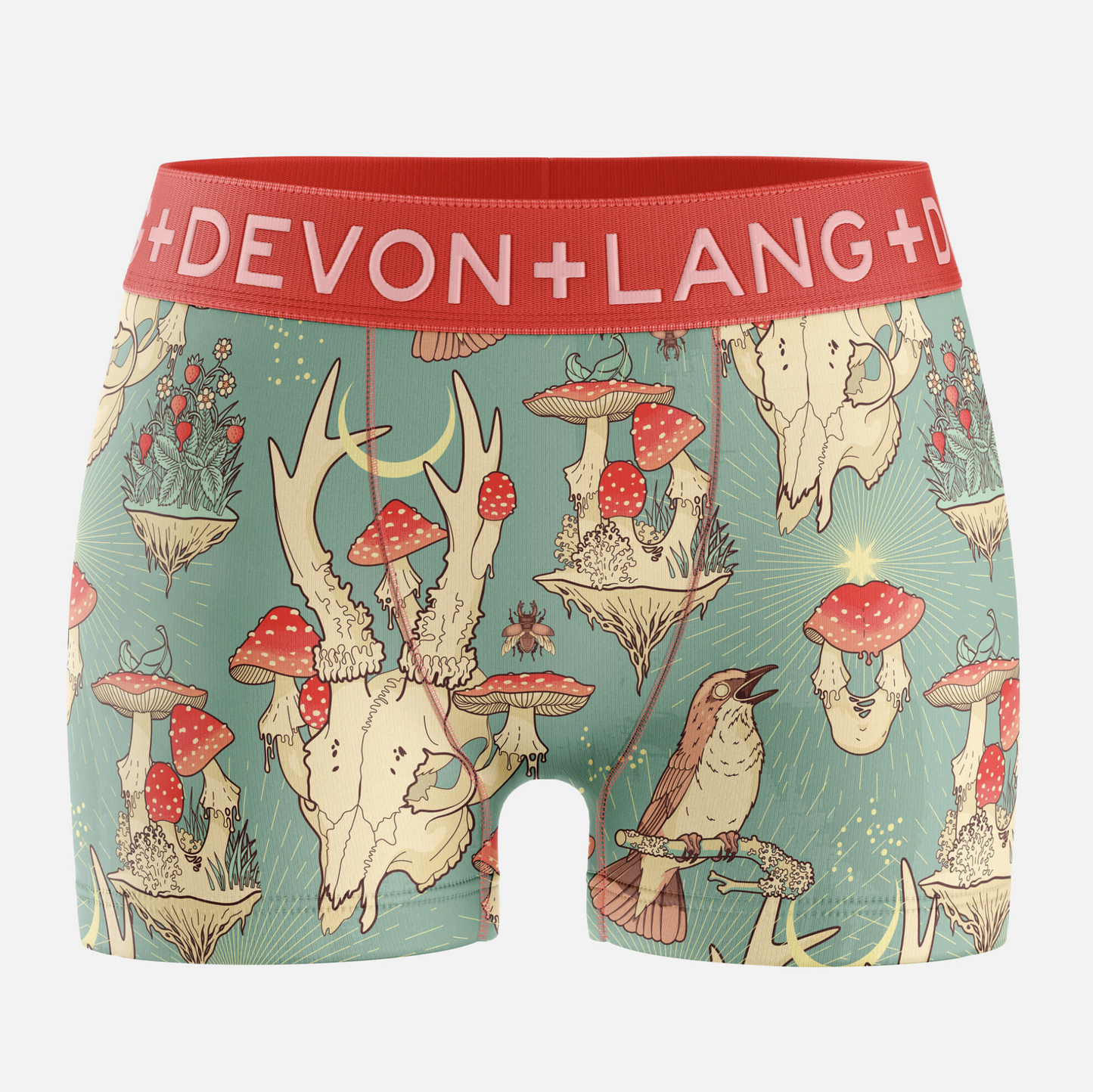 Devon + Lang Forest Mushrooms Collection