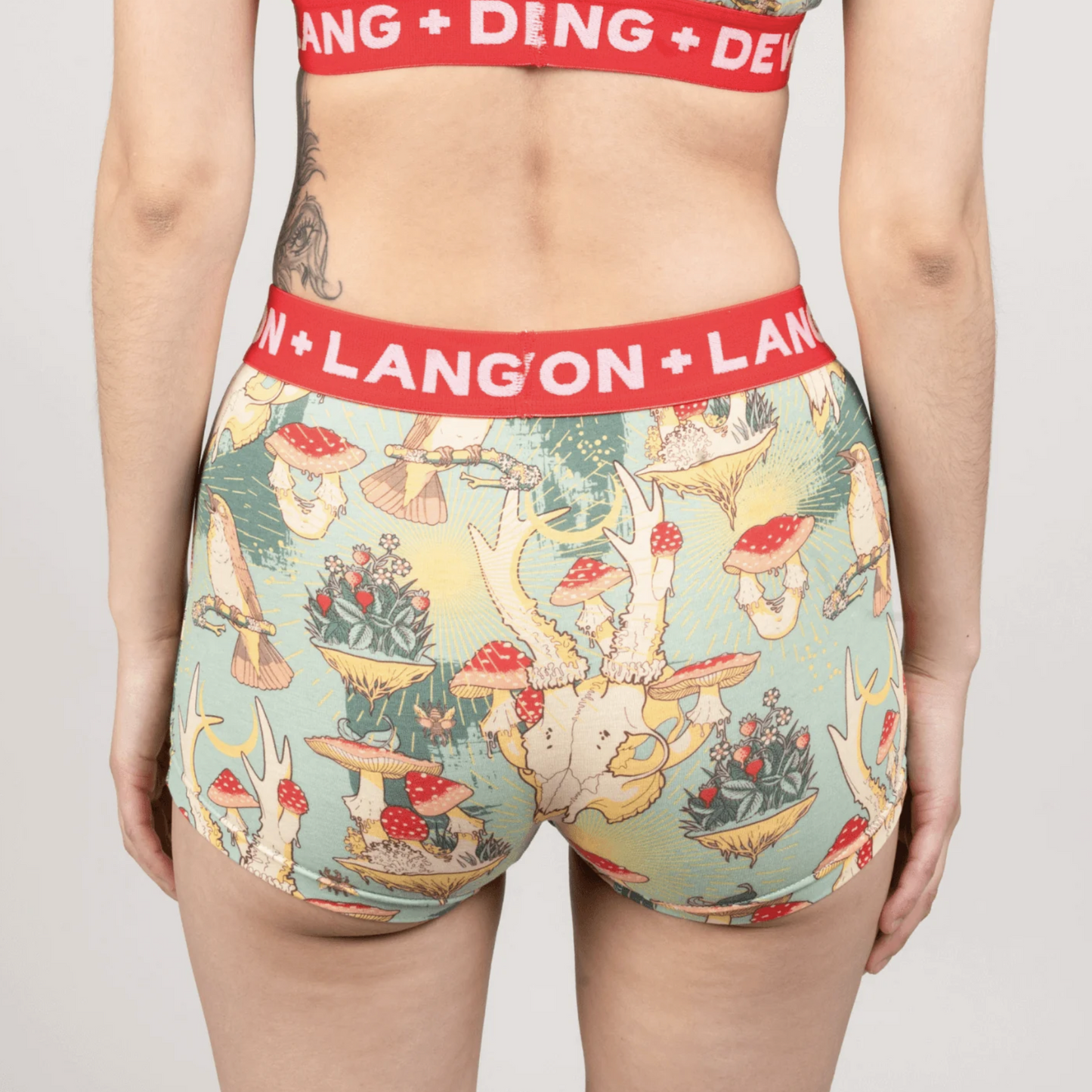 Devon + Lang Forest Mushrooms Collection