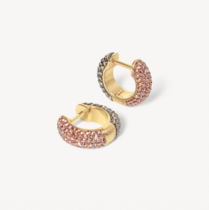 Desert Rose & Sand Dunes Sparkle Reversible Hoop Earrings