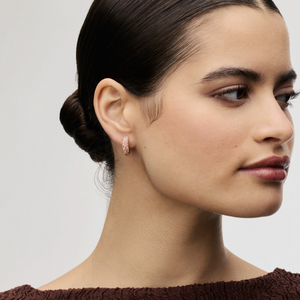 Desert Rose & Sand Dunes Sparkle Reversible Hoop Earrings