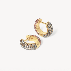 Desert Rose & Sand Dunes Sparkle Reversible Hoop Earrings