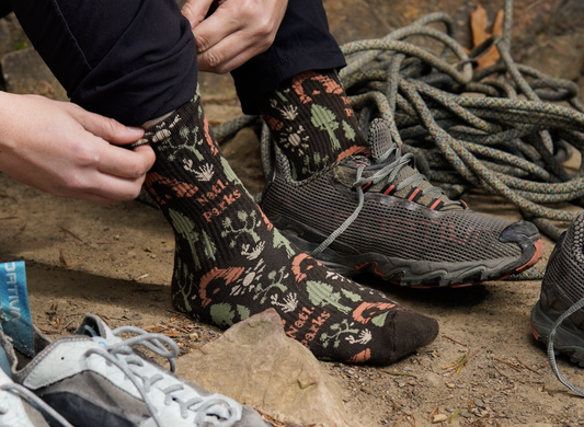 National Park Roundup Sock