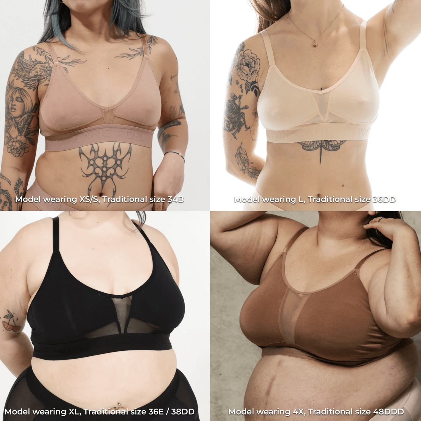 Devon + Lang Wild Strawberry Collection