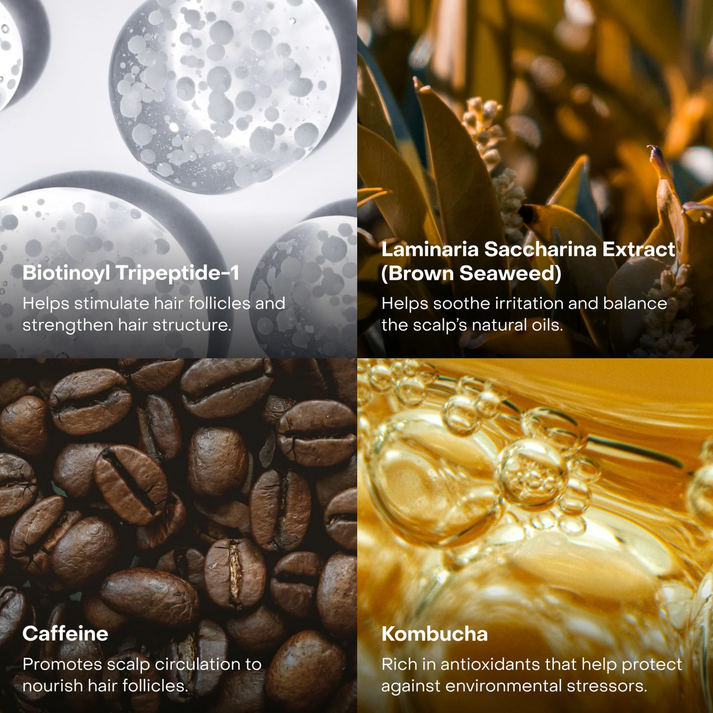 EverBoost™ Multi-Peptide Scalp Serum