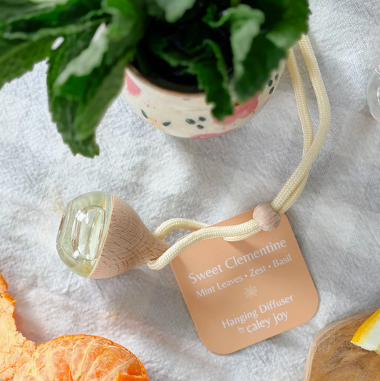 Hanging Car Diffusers | Sweet Clementine