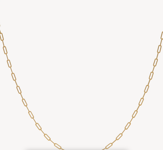 Gold Essential Clip Chain Necklace