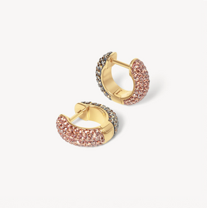 Open image in slideshow, Desert Rose &amp; Sand Dunes Sparkle Reversible Hoop Earrings

