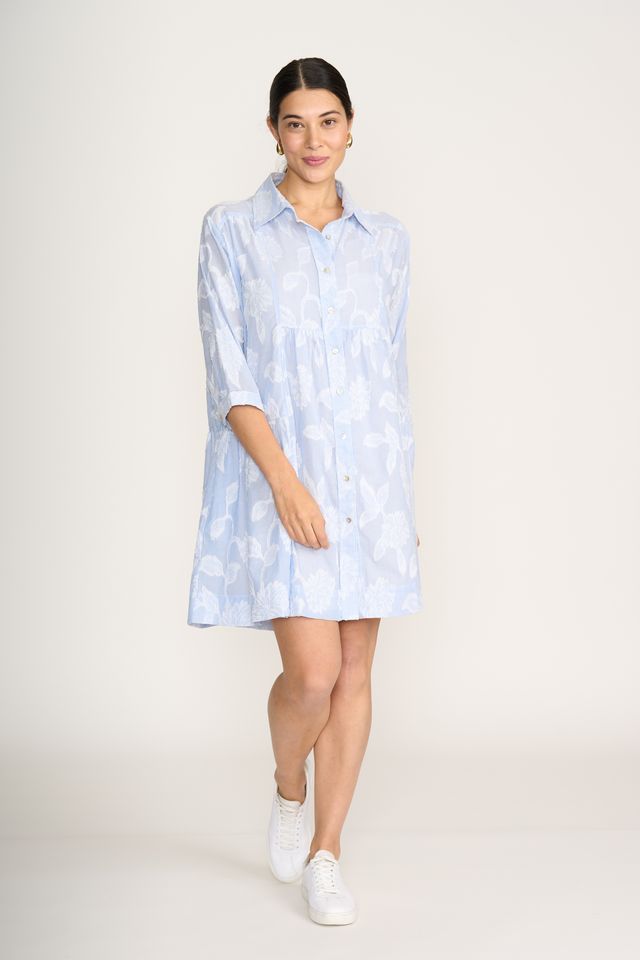 Hello Dolly Shirt Dress