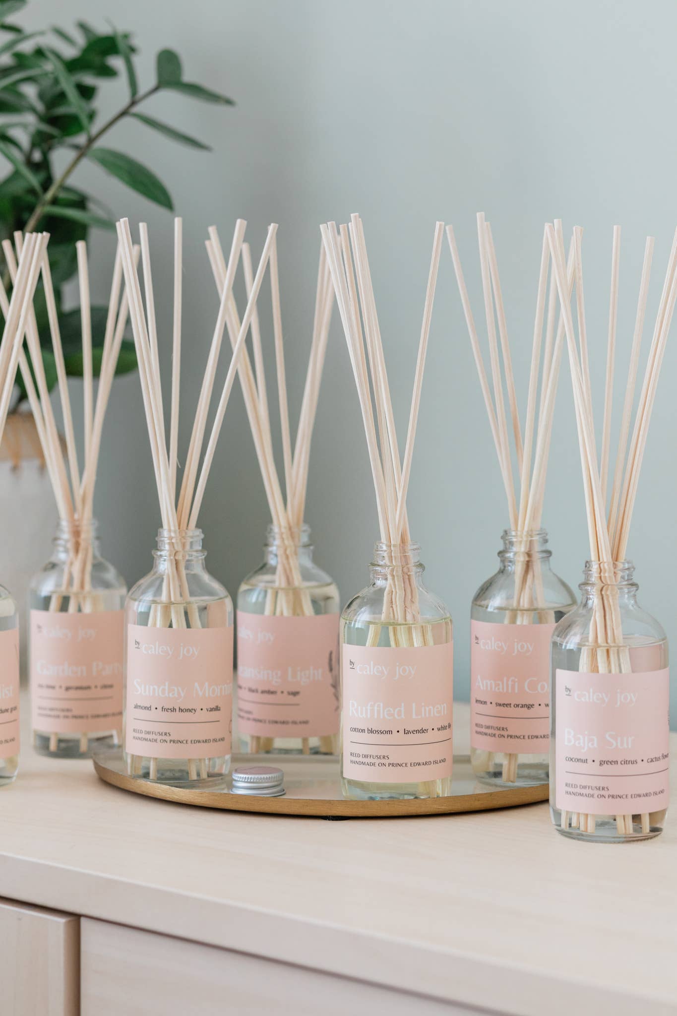 Seaside Mist | Reed Diffuser