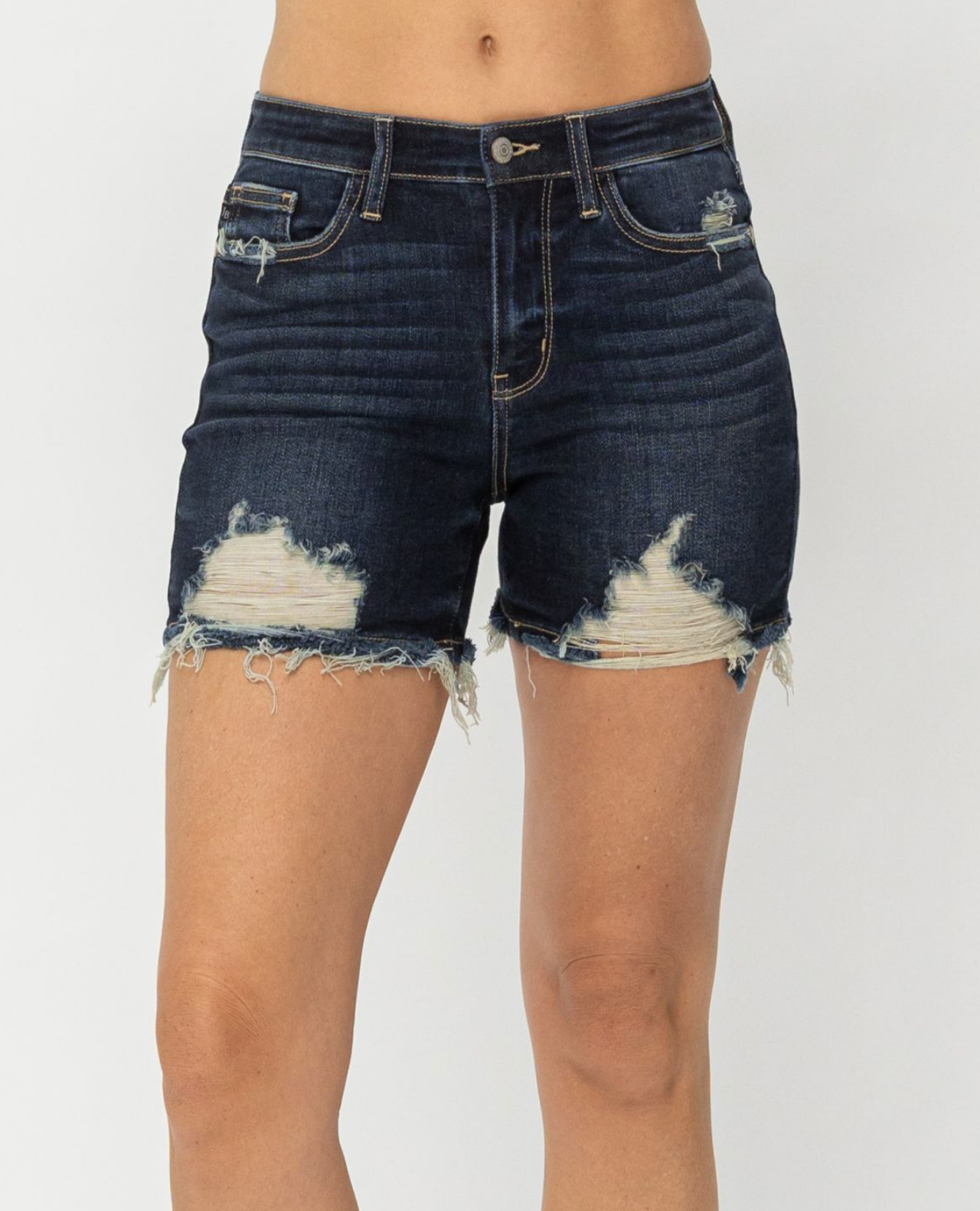 Holly Destroyed Shorts ~ Size XS